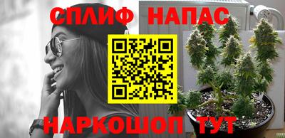 прущая мука Новодвинск