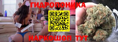 jwh Новозыбков