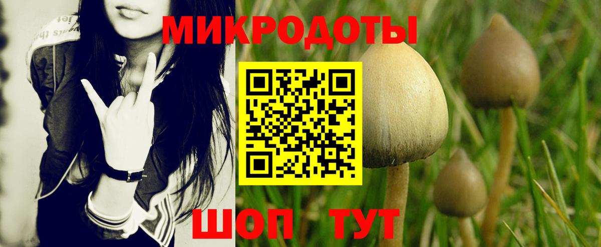 Псилоцибиновые грибы мухоморы  Вход с VPN  Ржев 
